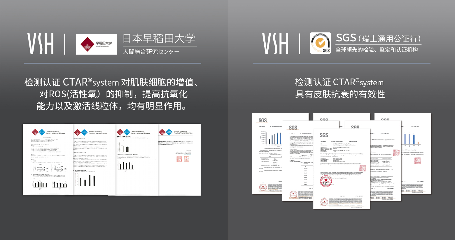ed65a236bbcca29cf40684009cb4ff72.jpg